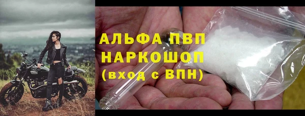 индика Армянск