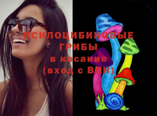 эйфоретик Алзамай
