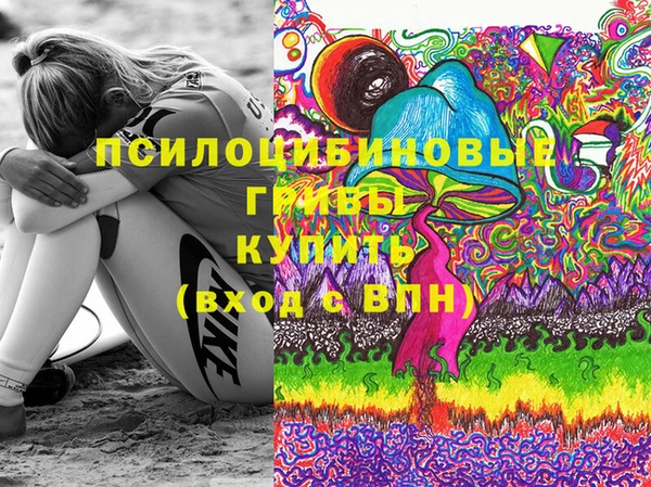 эйфоретик Алзамай