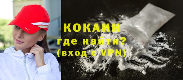 крисы Ельня