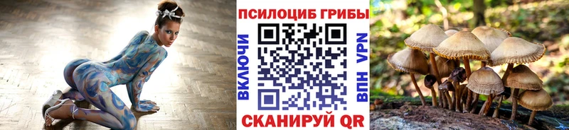 как найти закладки  Краснообск  Галлюциногенные грибы GOLDEN TEACHER 